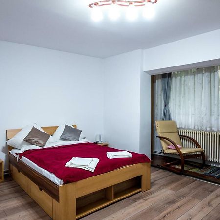 ［カレア アラドゥルイ］アパートメント（30m²）｜ 1ベッドルーム／1バスルーム ティミショアラ エクステリア 写真